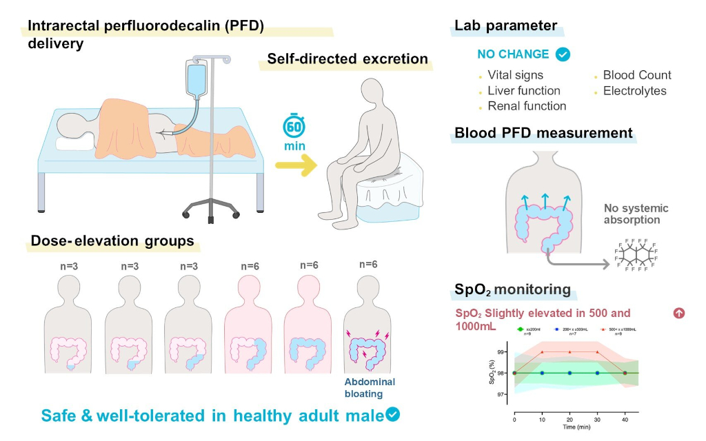 Visual abstract shows highlights of first human clinical trial to evaluate the safety of enteral ventilation concept developed by Takanori Takebe, MD, Ph.D., and colleagues. Credit: Med (2025). DOI: 10.1016/j.medj.2025.100887 | Source: https://pubmed.ncbi.nlm.nih.gov/35590139/