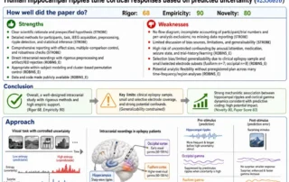 Human hippocampal ripples tune cortical responses based on predicted uncertainty